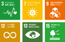 SDGs